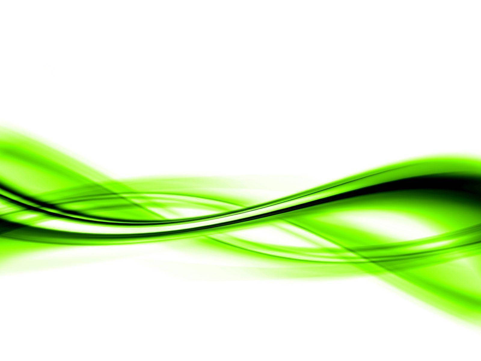 Curved Lines Light Green Background