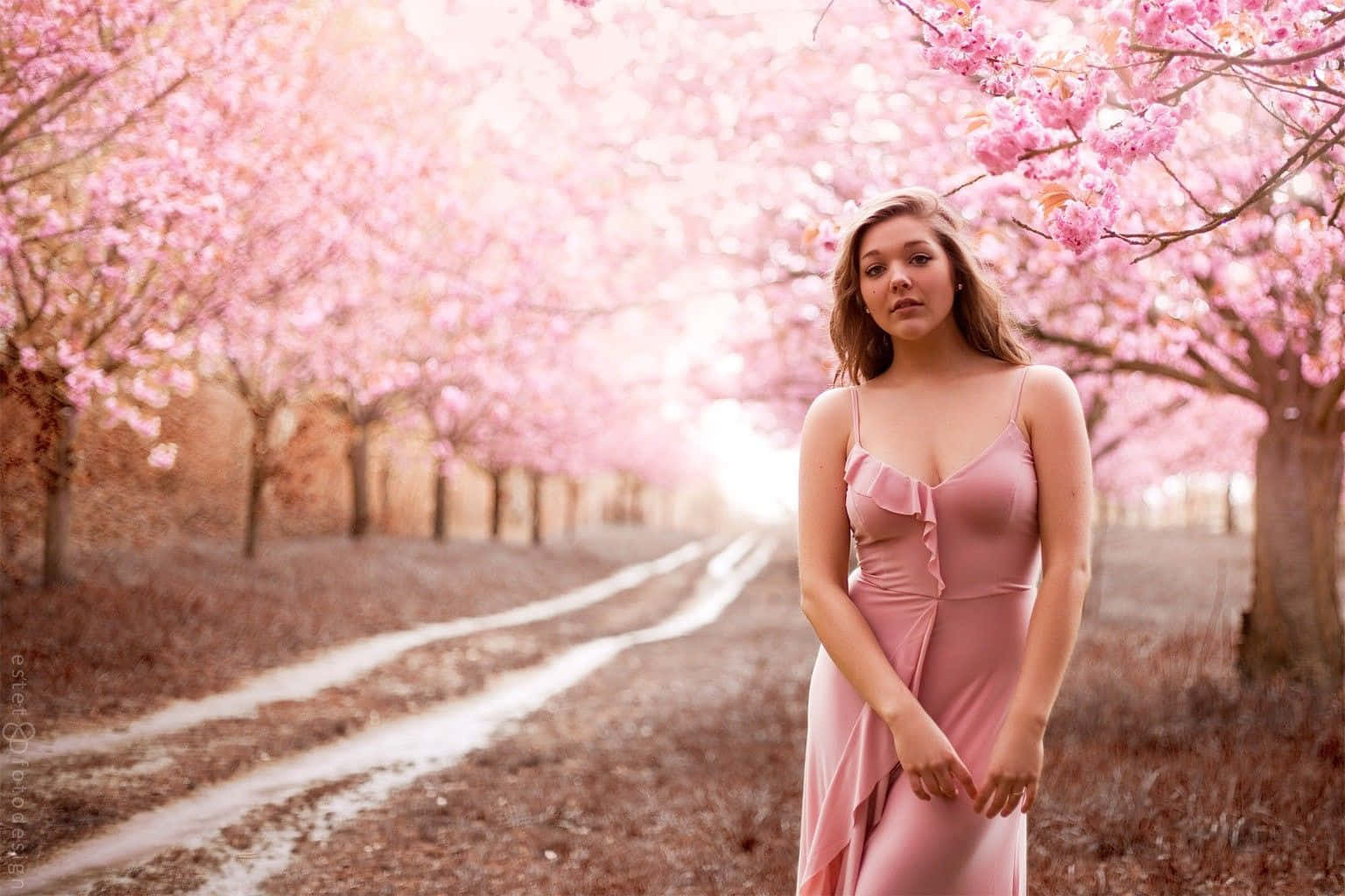 Curvy Woman During Cherry Blossoms Background