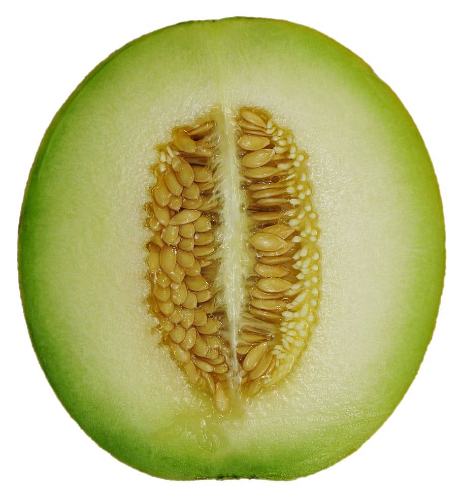 Cut In Half Honeydew Melon