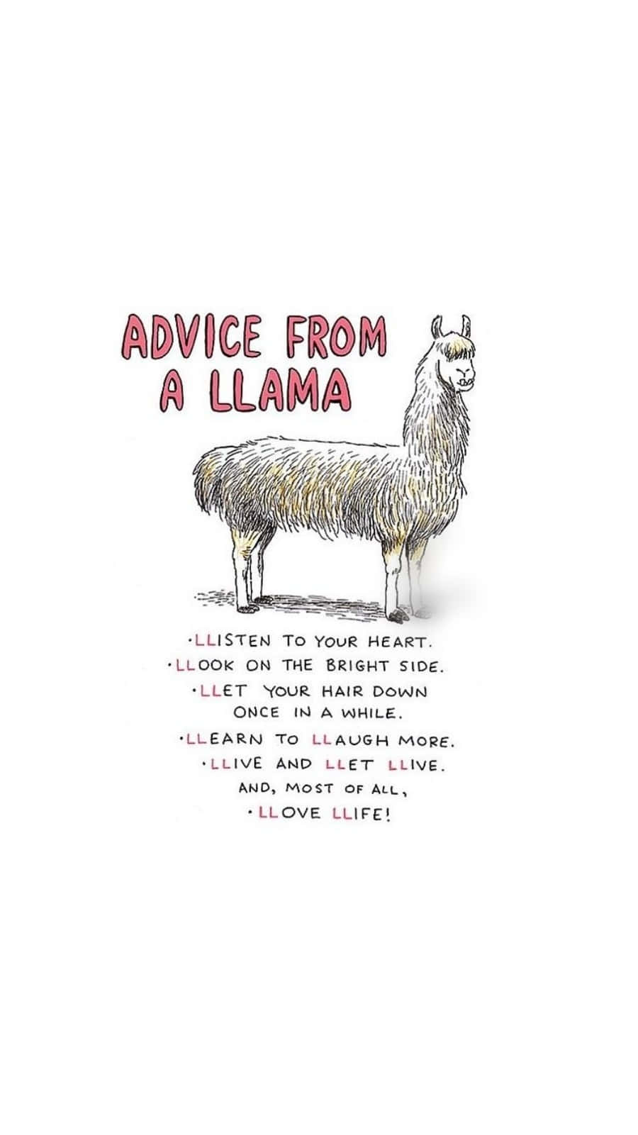 Cute Advice From A Llama Background