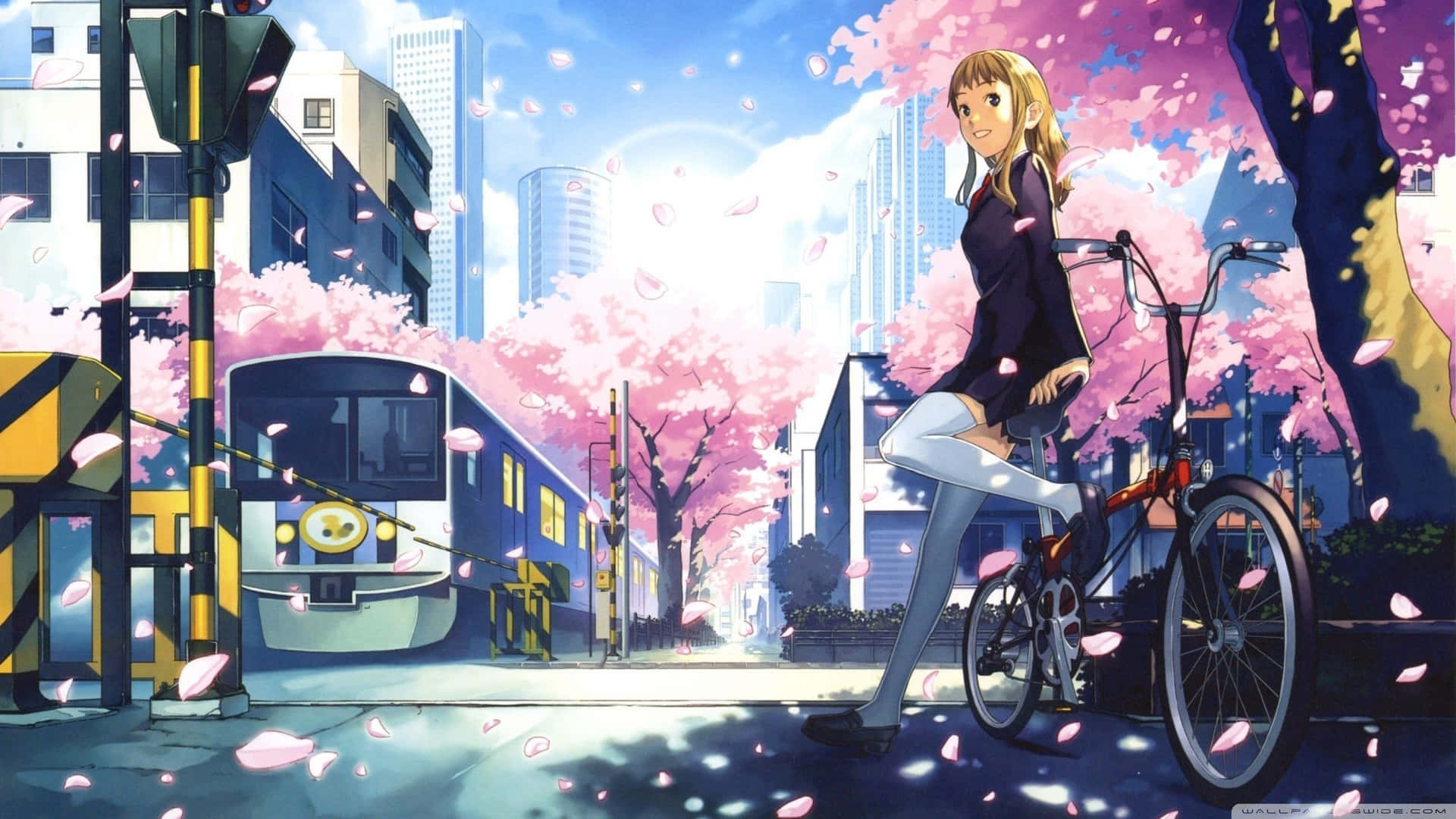Cute Aesthetic Anime Desktop 2560 X 1440 Background
