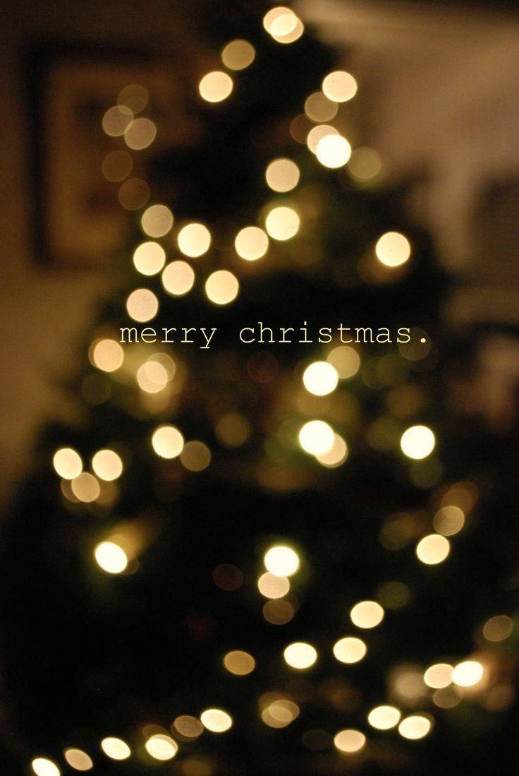 Cute Aesthetic Christmas Tree Silhoutte Background