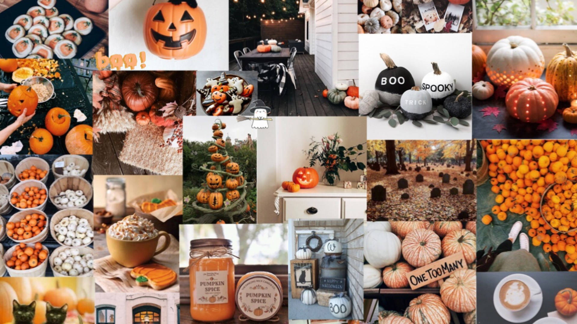 Cute Aesthetic Halloween Pumpkin Collage Background