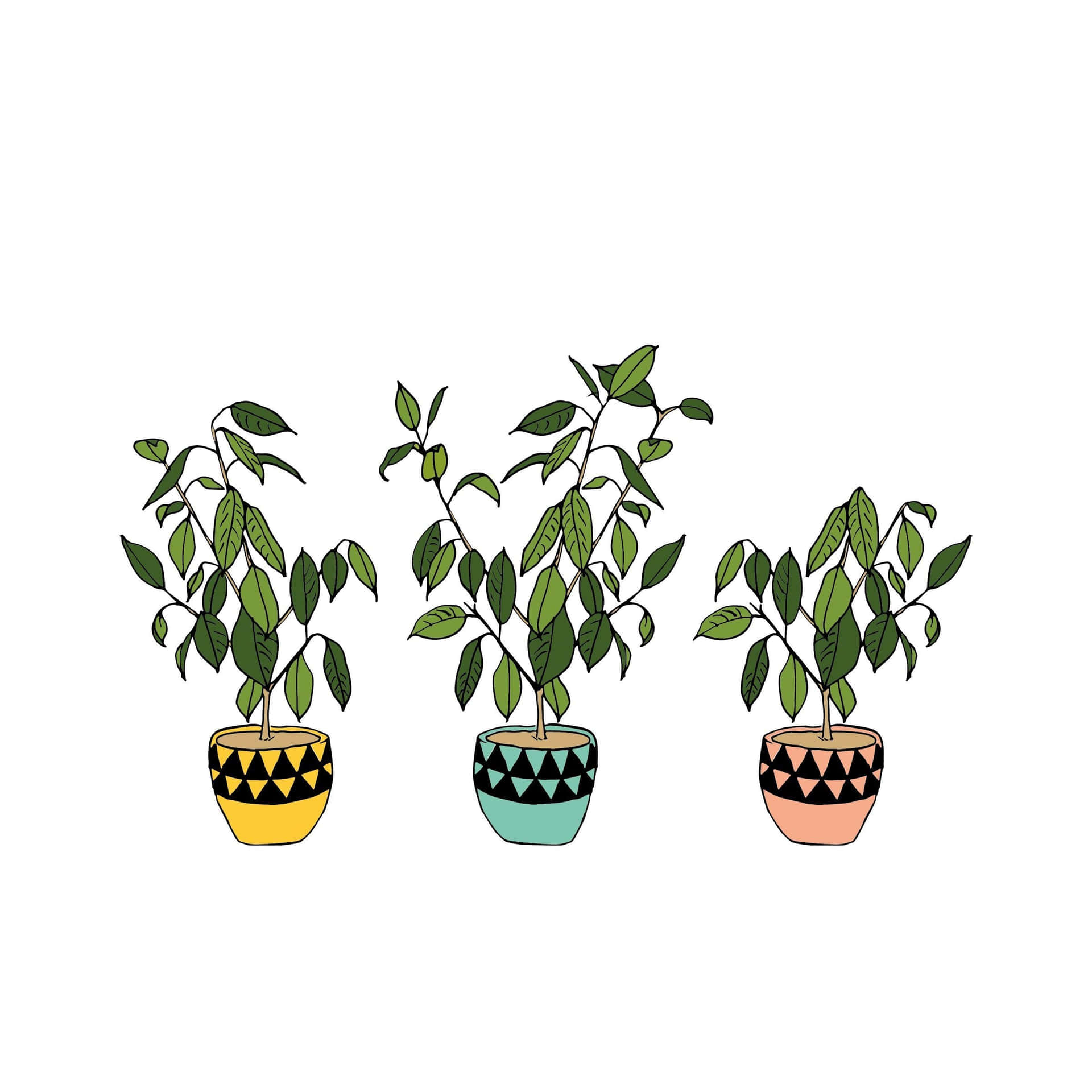 Cute Aesthetic Plant Yellow Blue Pink Background
