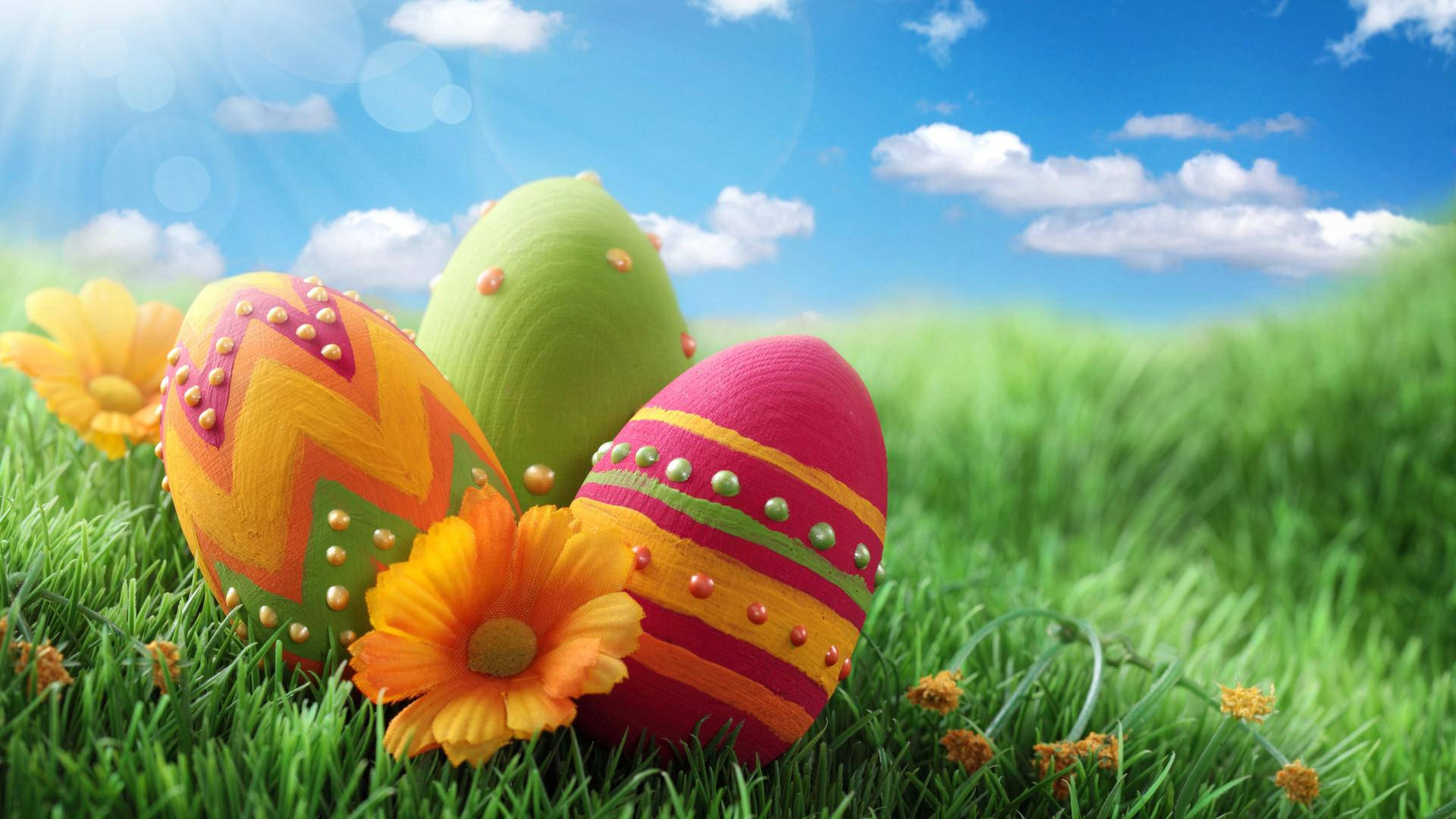 Cute And Colorful Easter Eggs Background