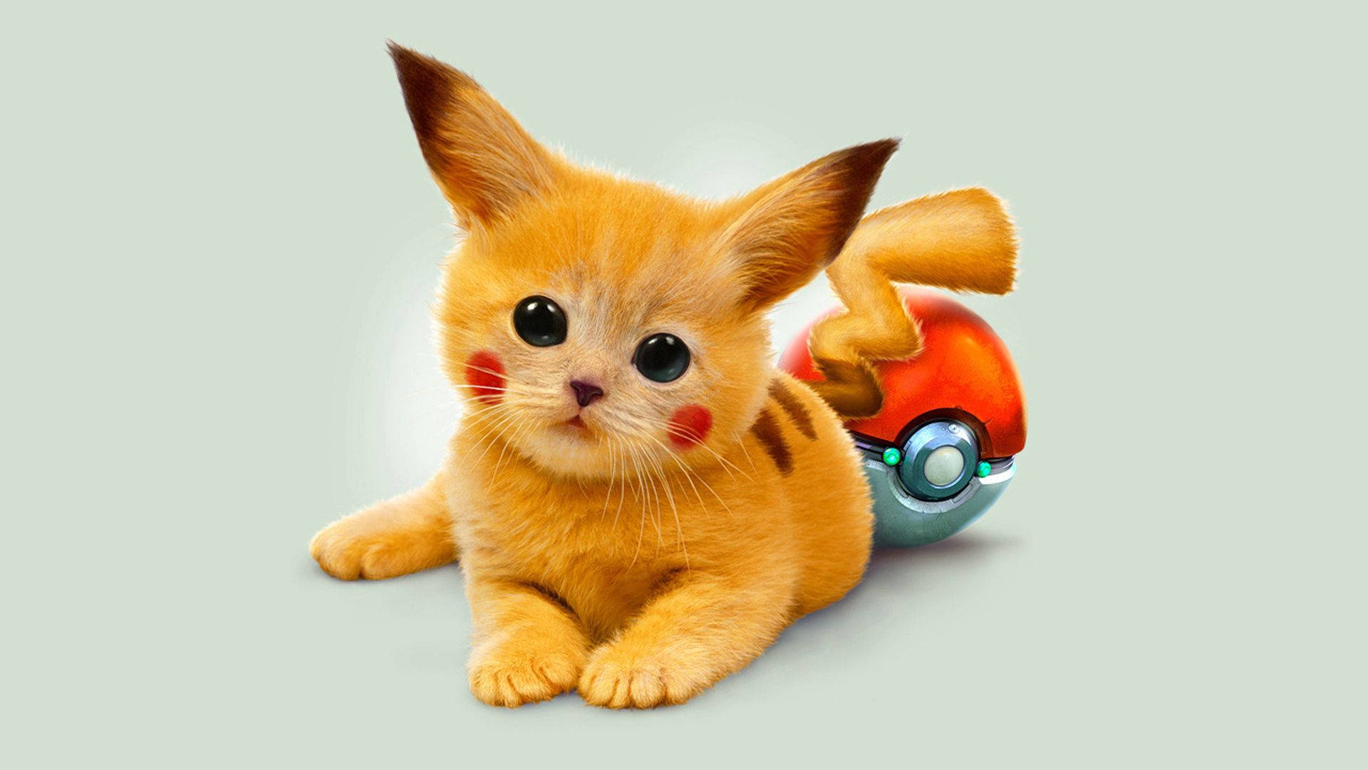 Cute And Cuddly Pikachu Cat Background
