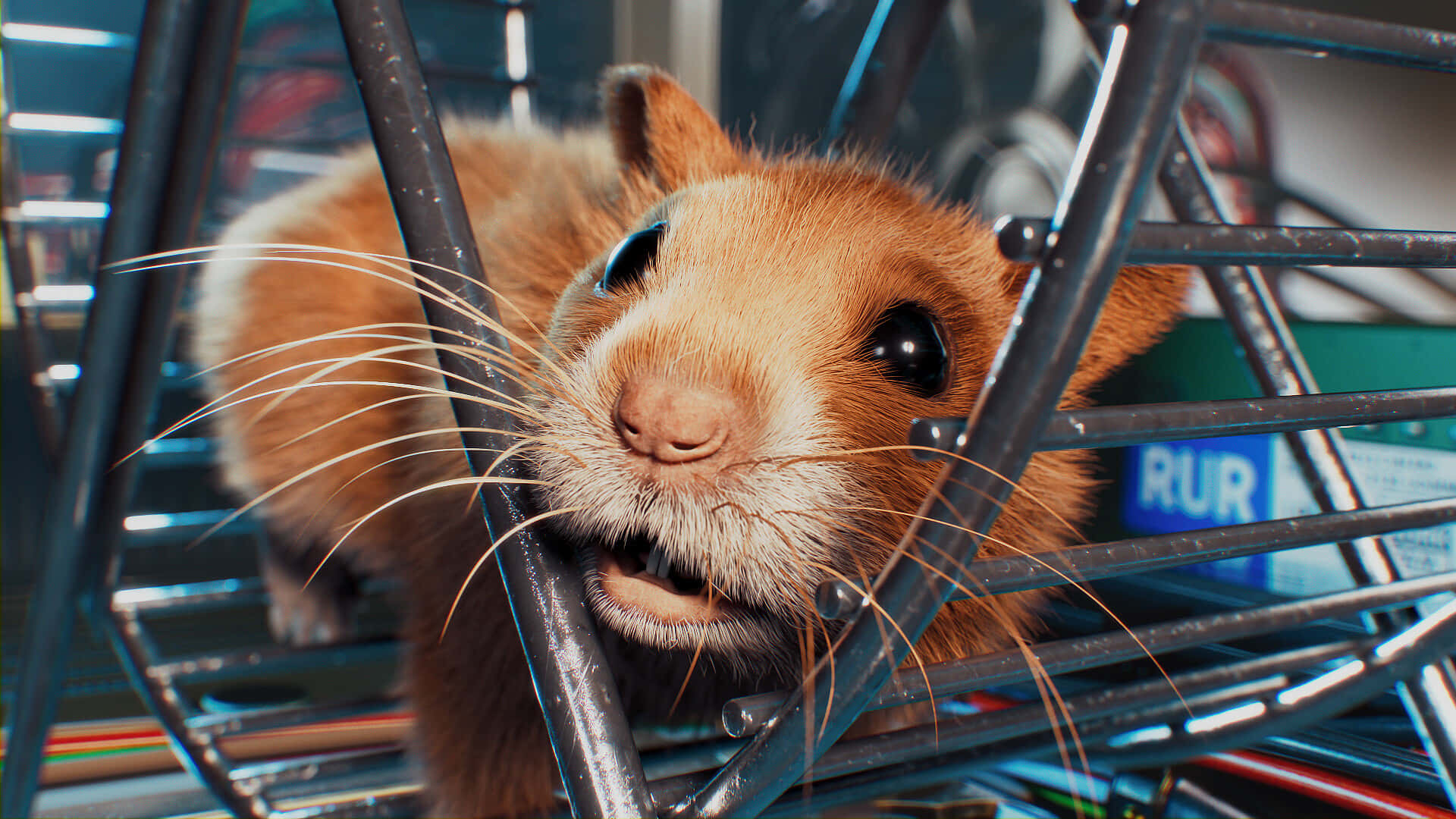 Cute And Curious Hamster