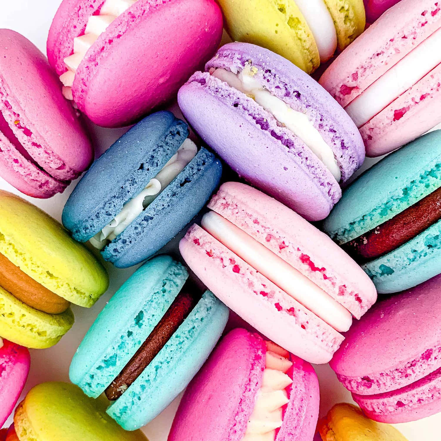 Cute And Delectable Colorful French Macaron Background