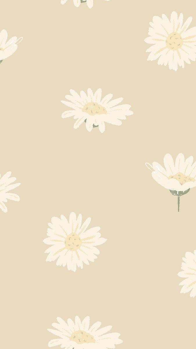 Cute And Minimalist Daisy Iphone Background