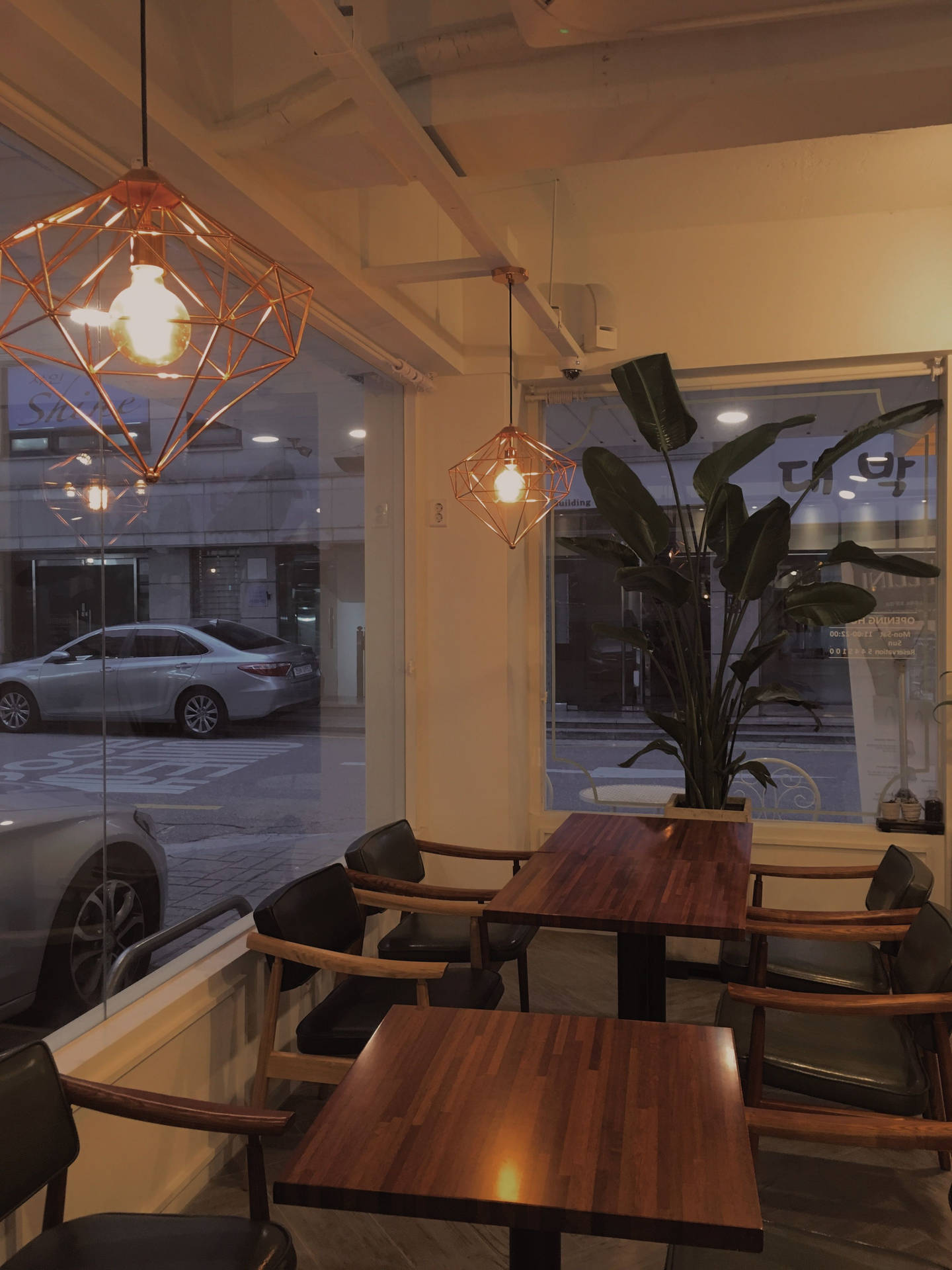 Cute And Simple Cafe With Ambient Lighting