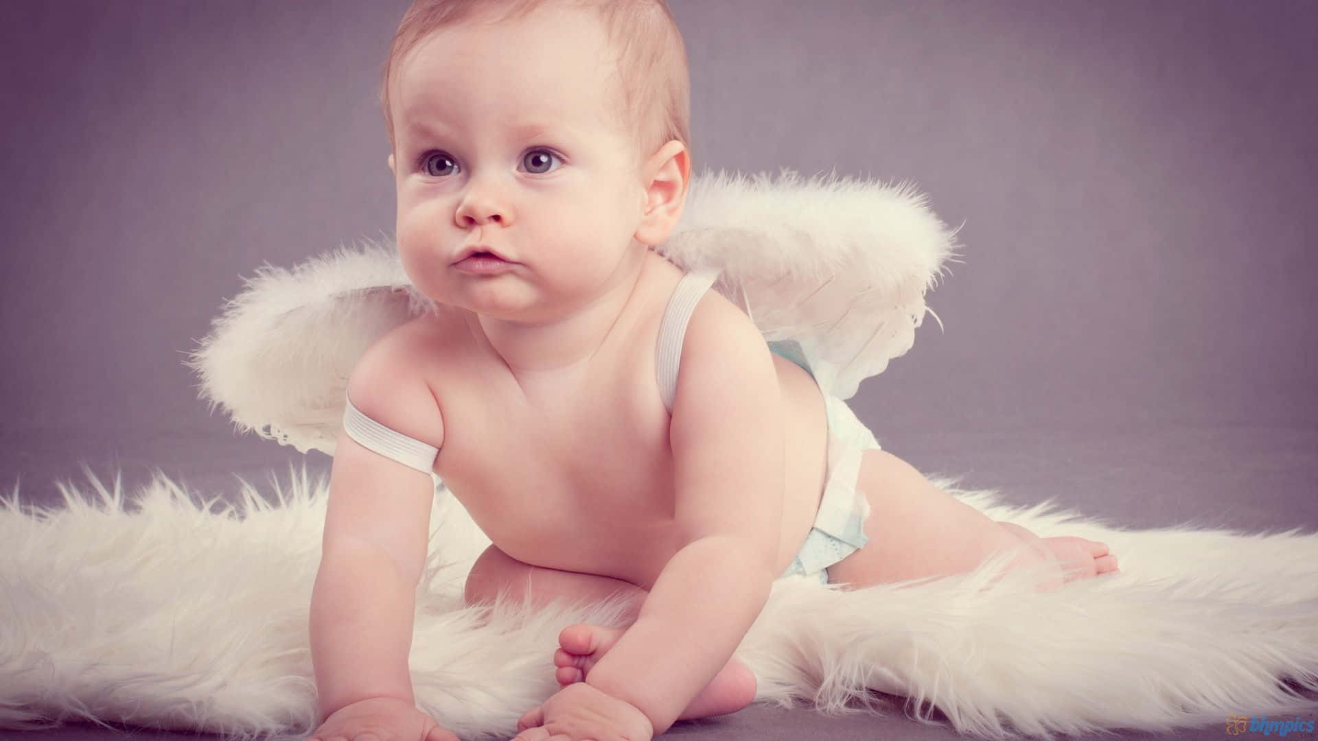 Cute Angels 1920 X 1080 Background