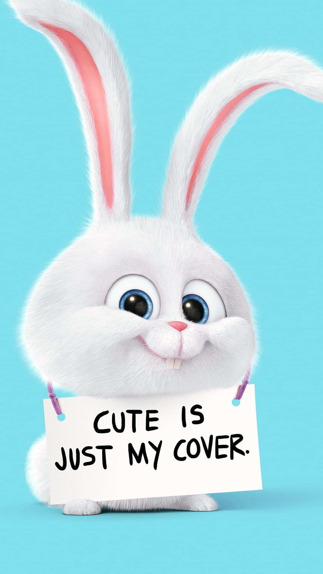 Cute Animals Cartoon Snowball Background