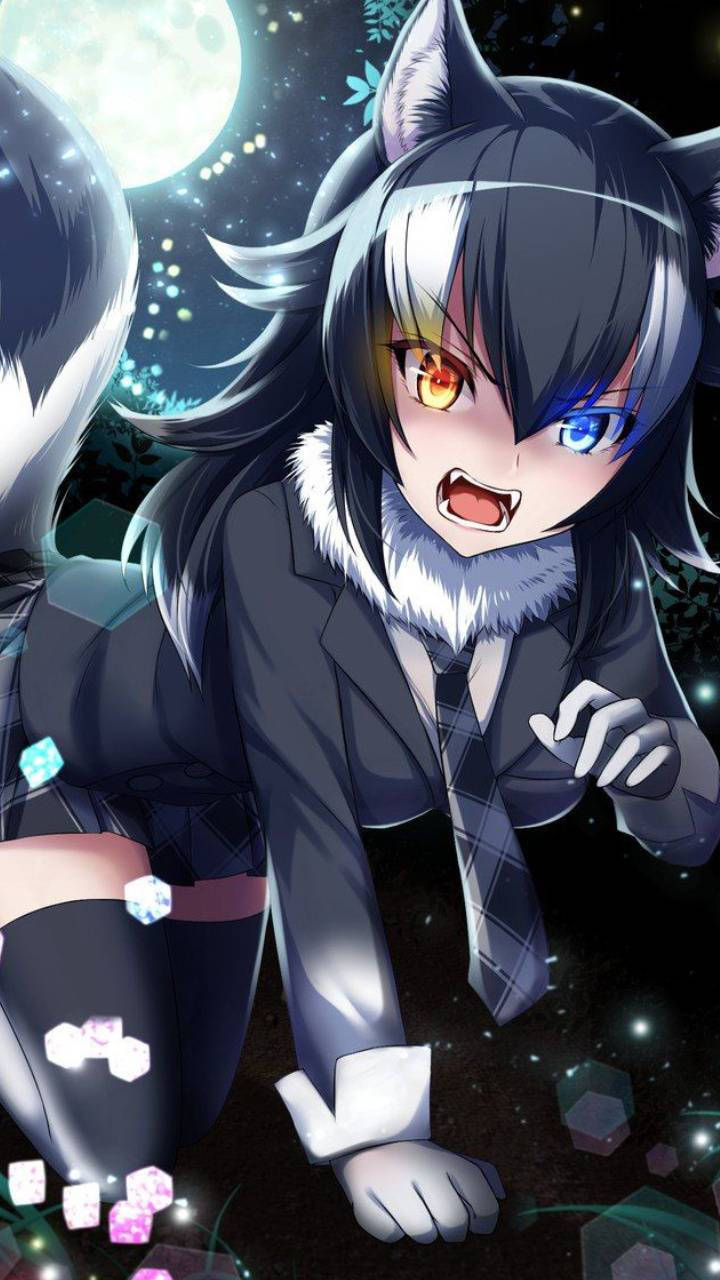 Cute Anime Pfp Wolf Girl
