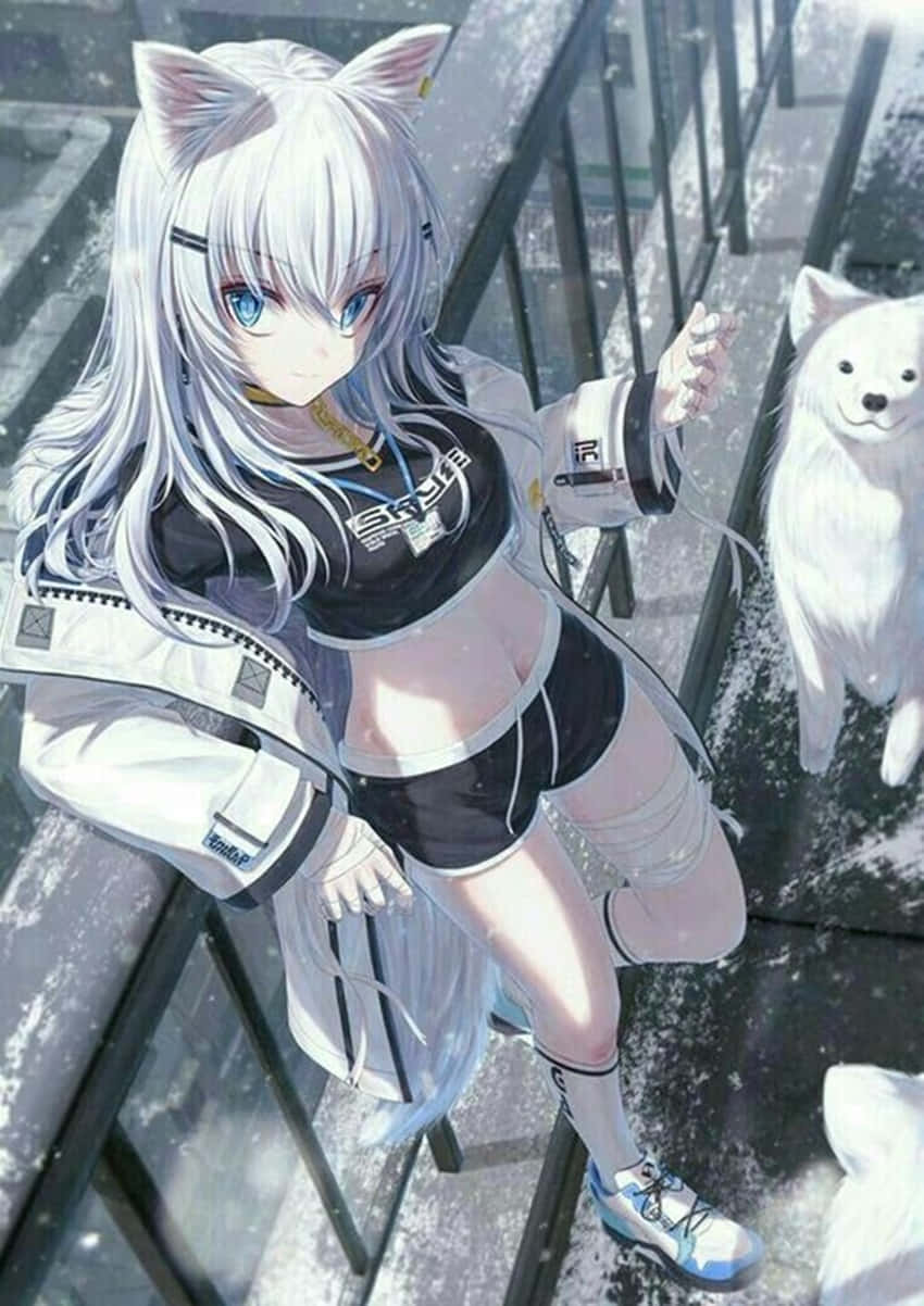 Cute Anime Wolf Girl In A White Aesthetic Background