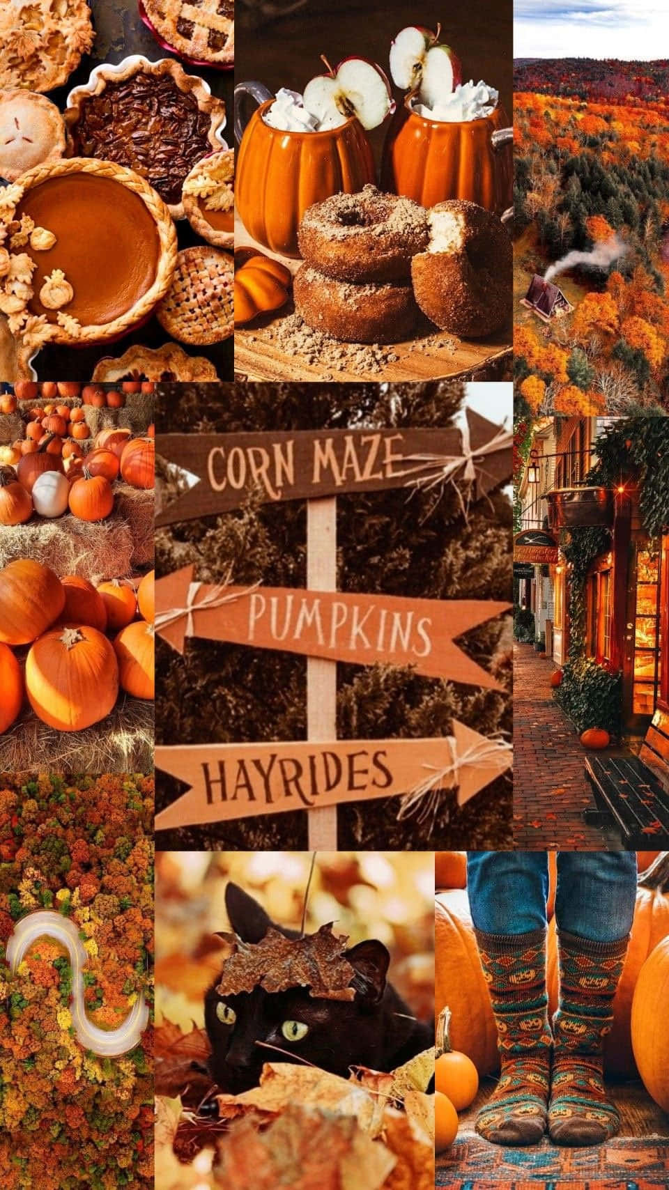 Cute Autumn Festivities Background