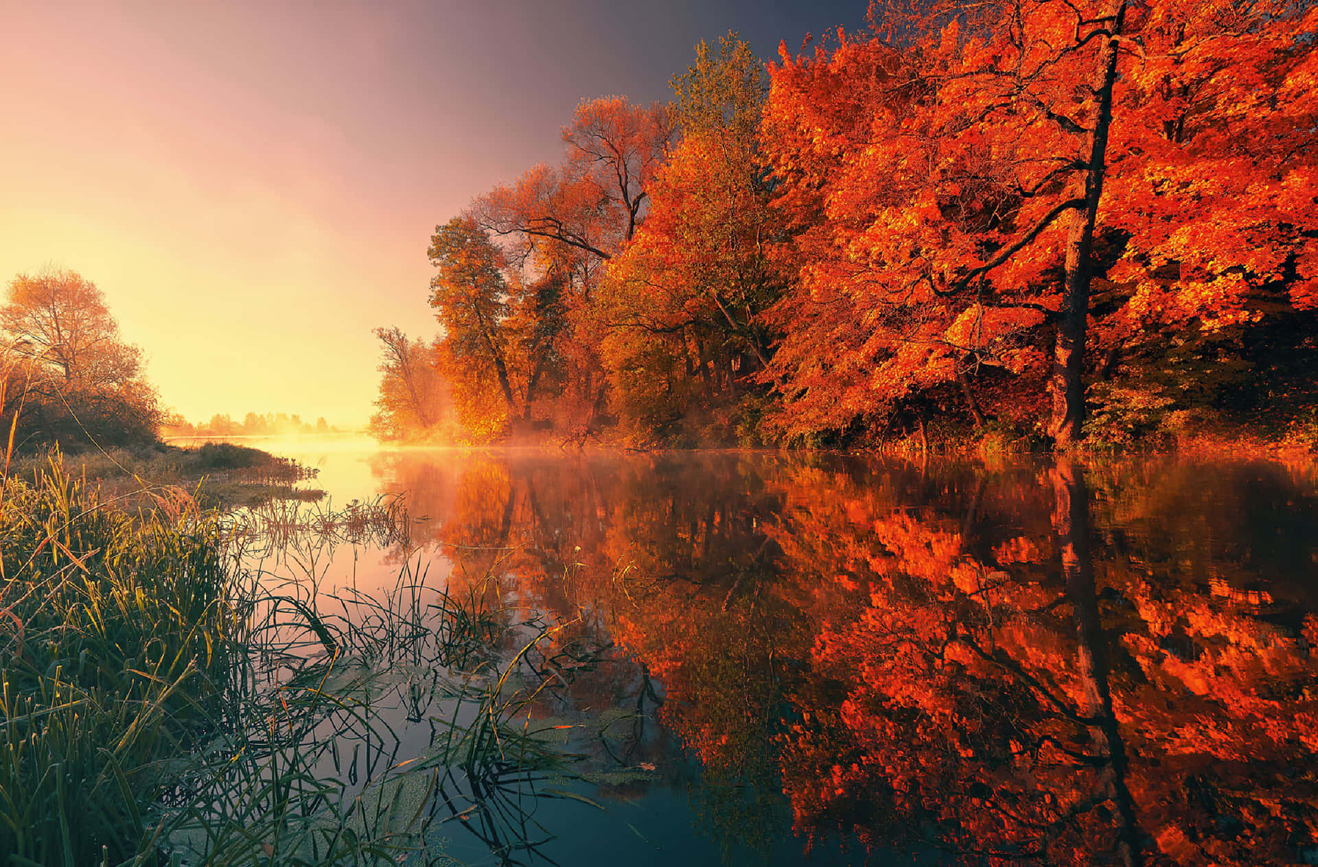 Cute Autumn Mirrored Lake Background