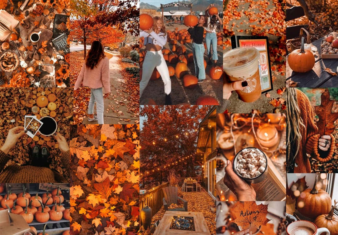 Cute Autumn Orange Aesthetic Background