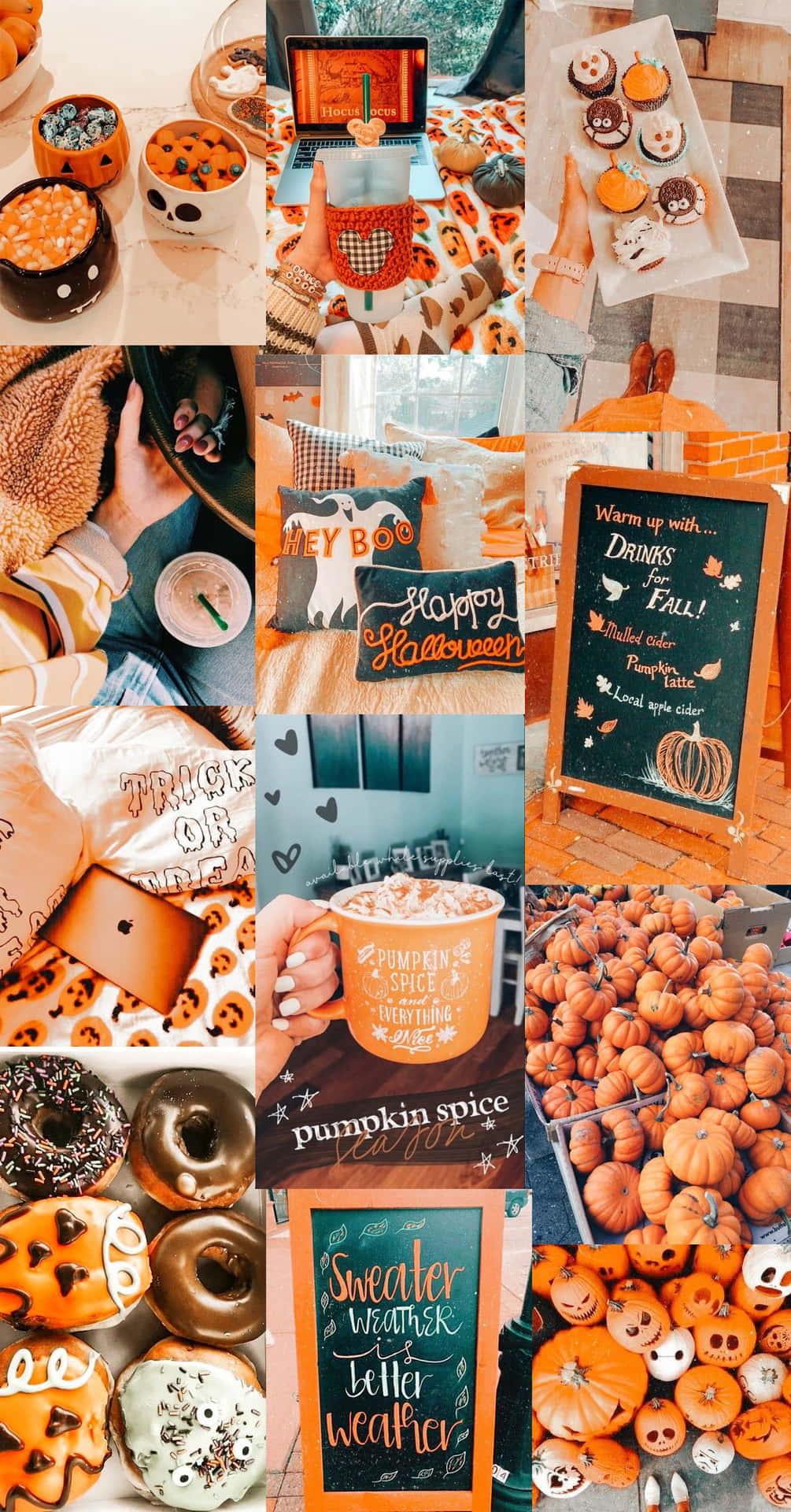 Cute Autumn Pumpkin Products Background