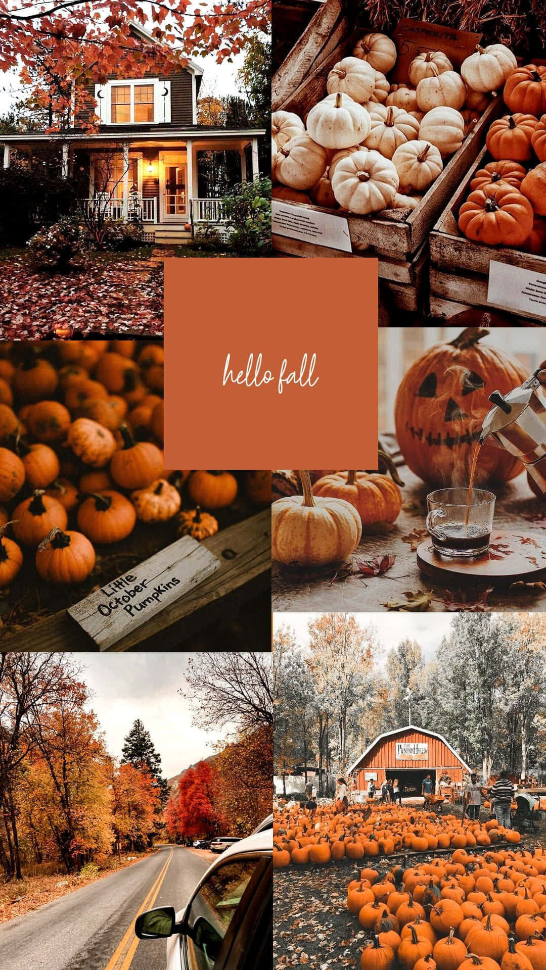 Cute Autumn Season Collage Background