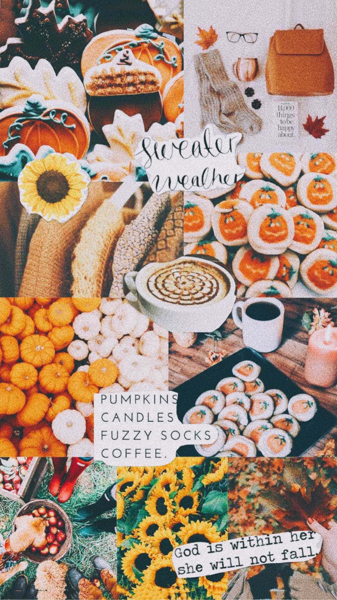 Cute Autumn Yummy Food Collage Background