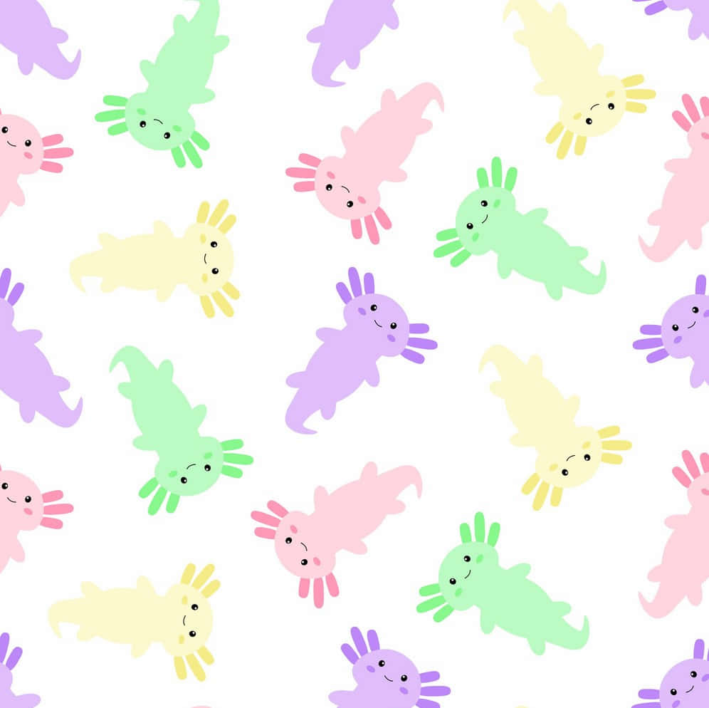 Cute Axolotl Animals In Different Colors Minimalist Art Background