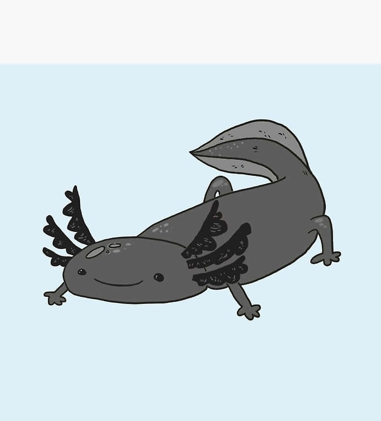 Cute Axolotl Gray Color Drawing Background