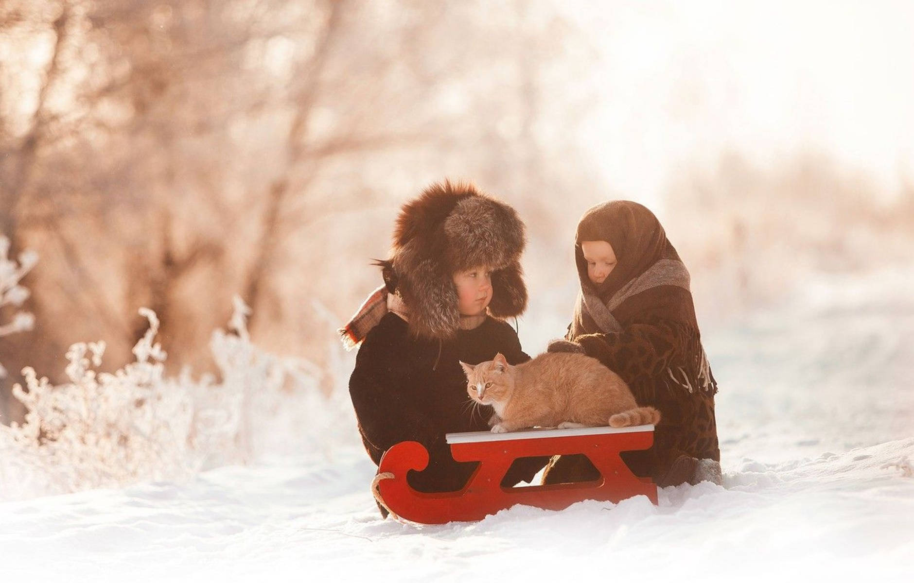 Cute Babies Sledding On The Snow