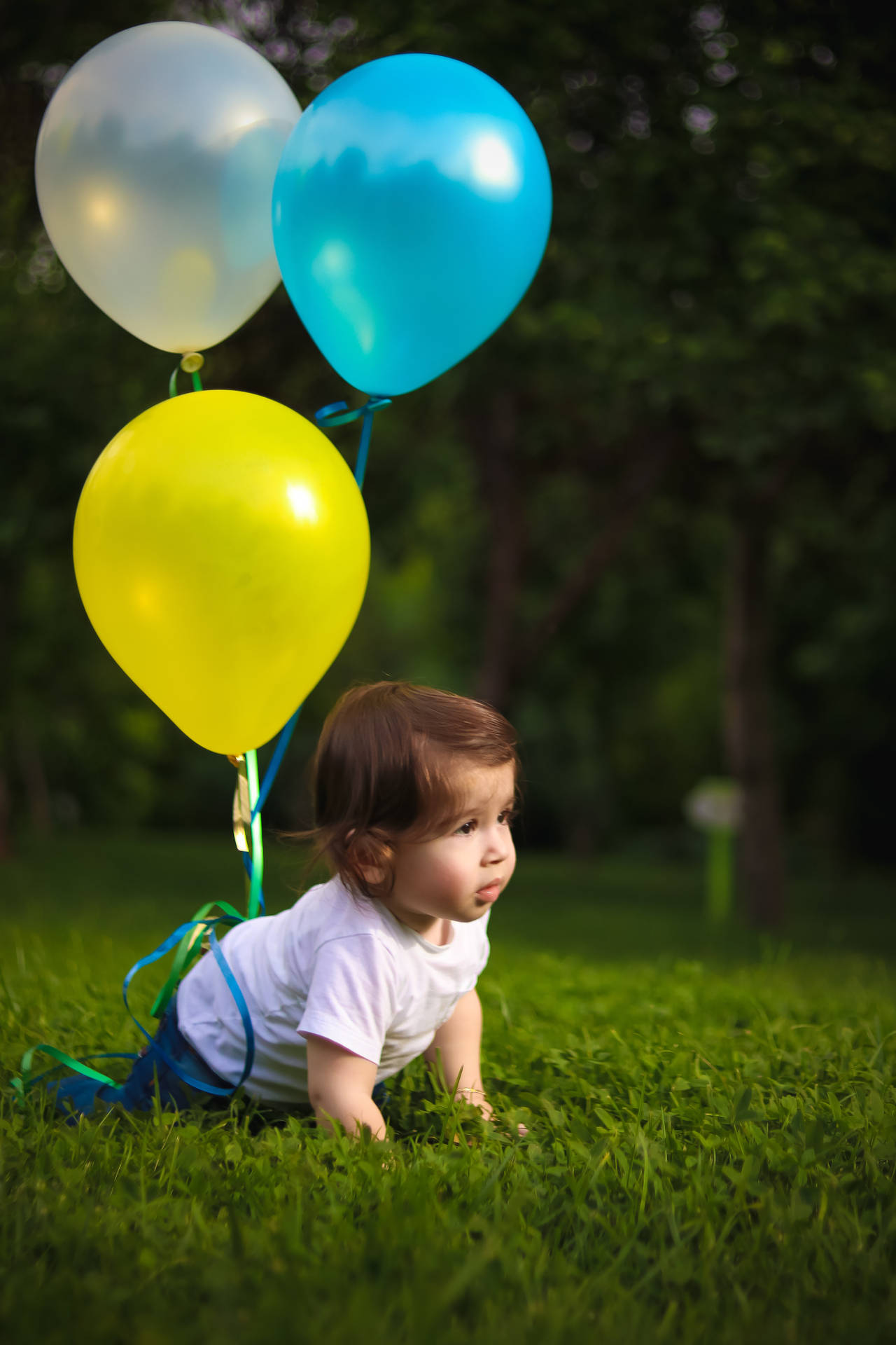 Cute Baby Crawling On Grass With Balloons Background