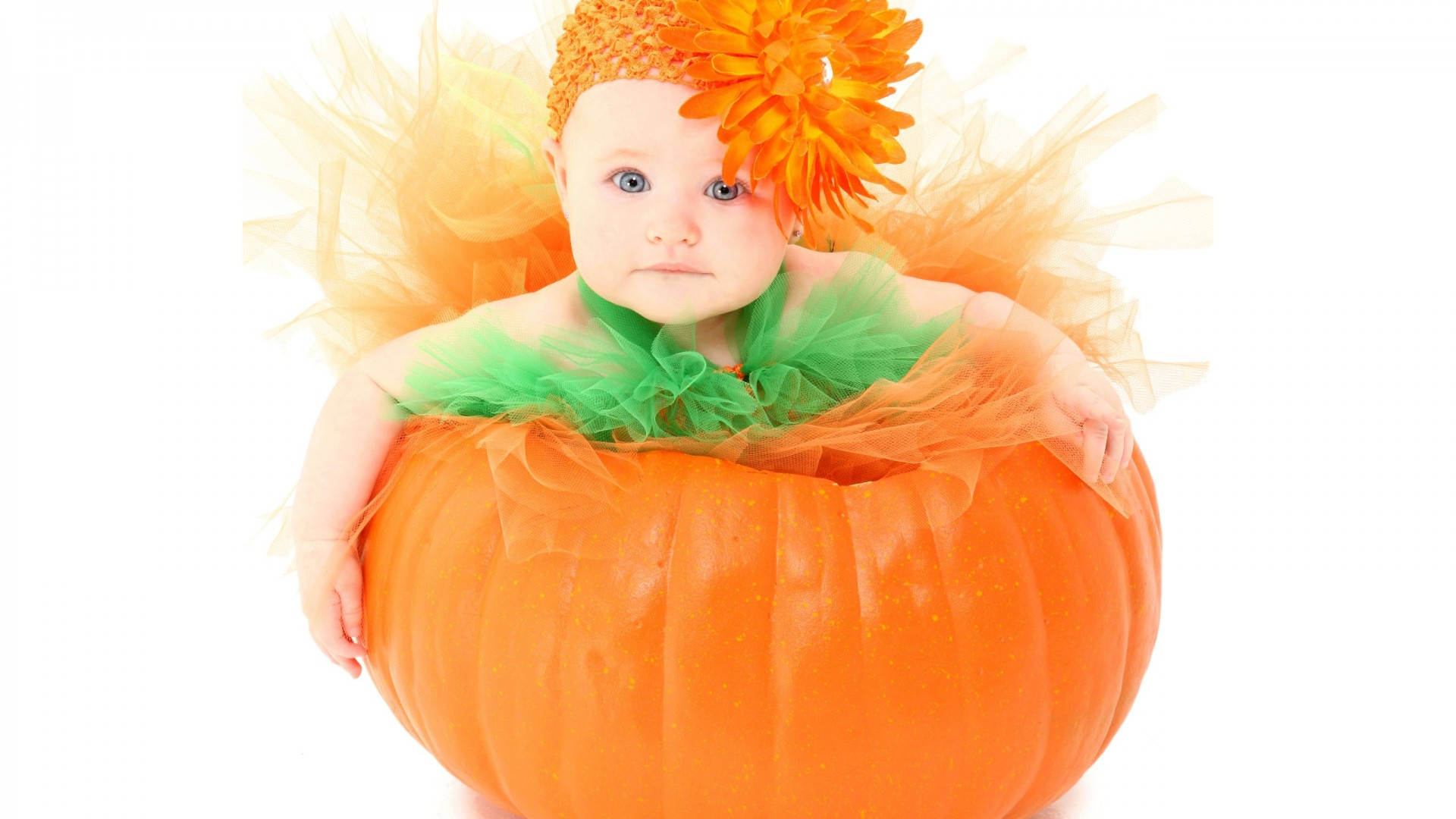 Cute Baby Girl With Pumpkin Background