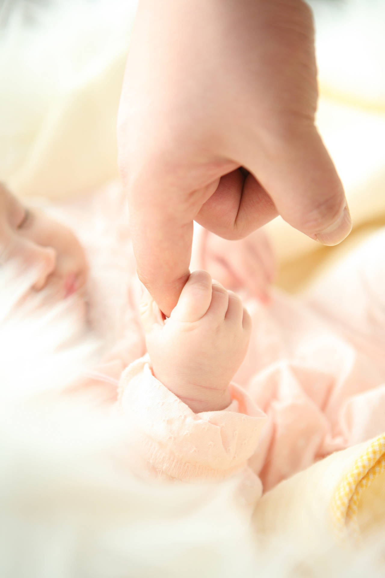Cute Baby Grasping An Adult Finger