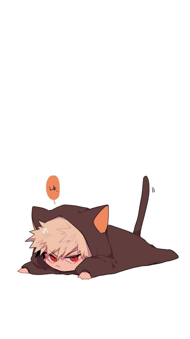 Cute Bakugo Cat Background Background