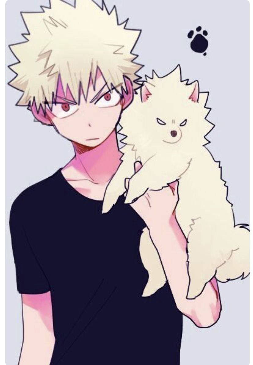 Cute Bakugo Holding Dog Background