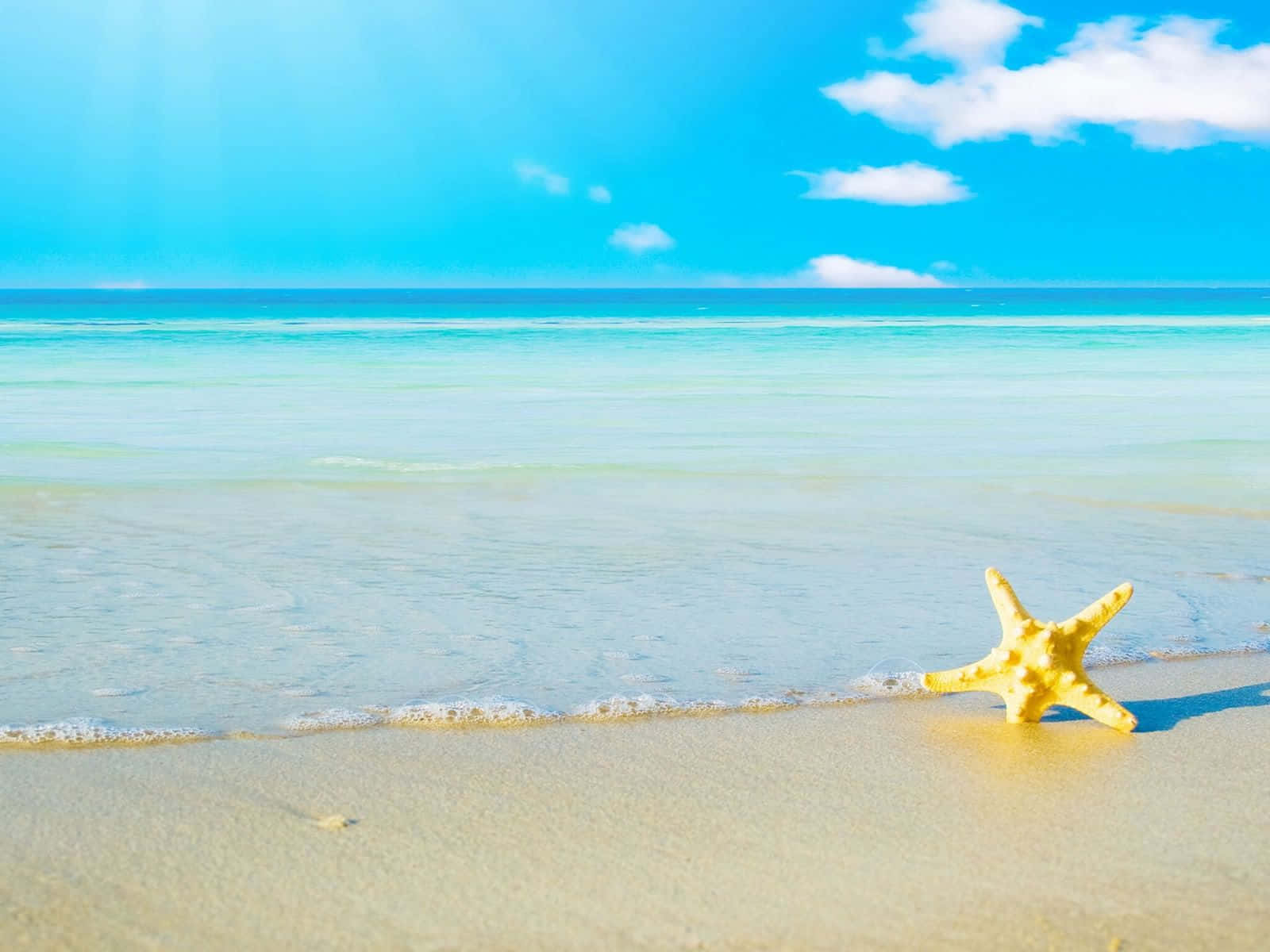 Cute Beach With Star Fish Background