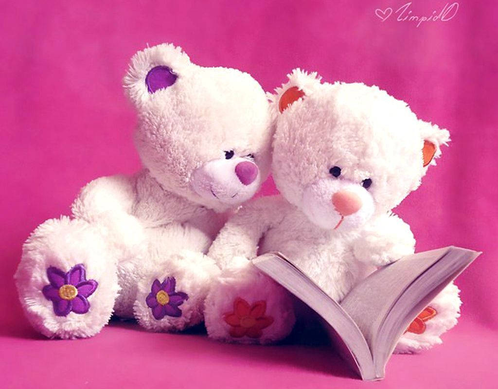 Cute Bear Reading Background