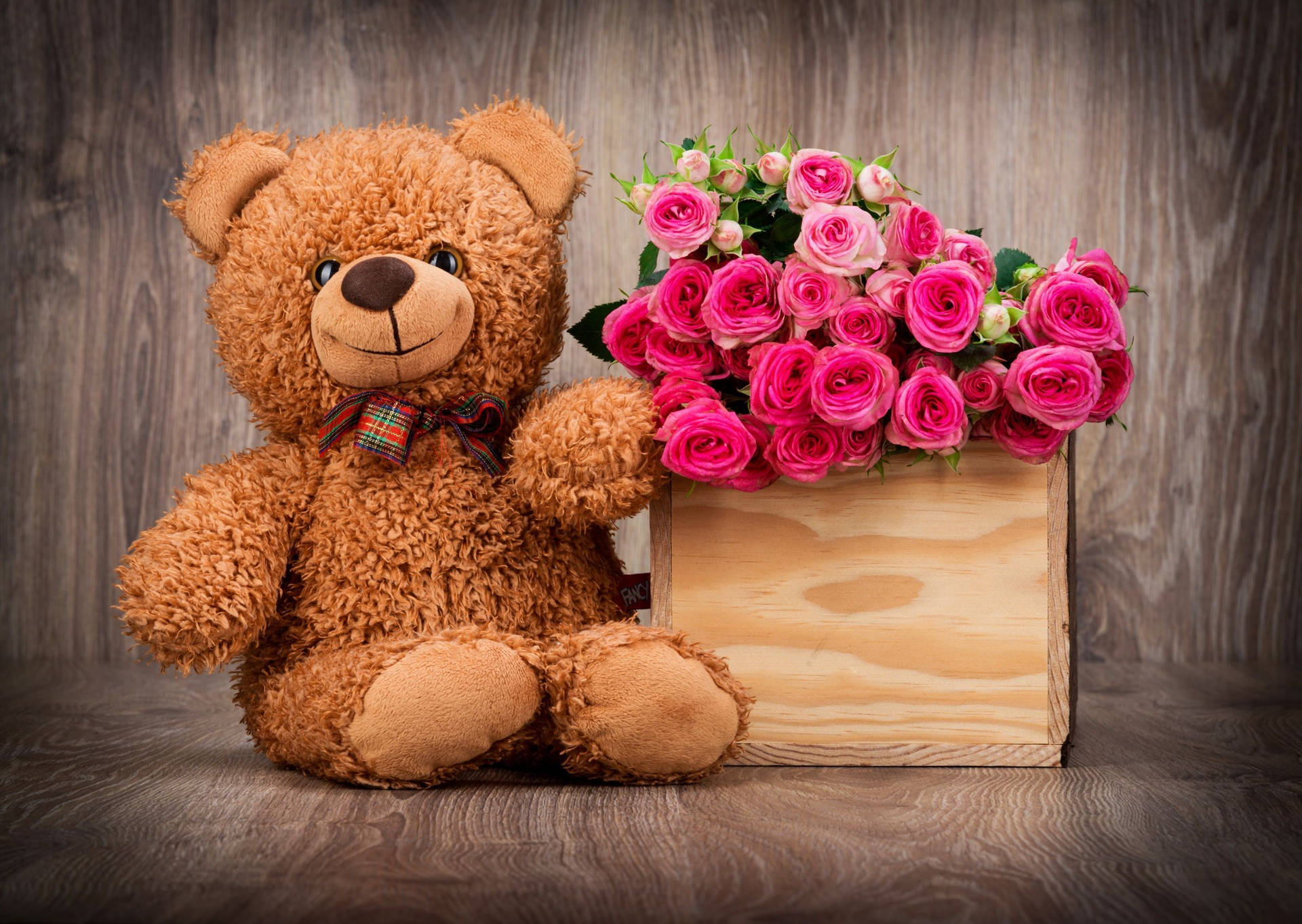 Cute Bear Wooden Box Background