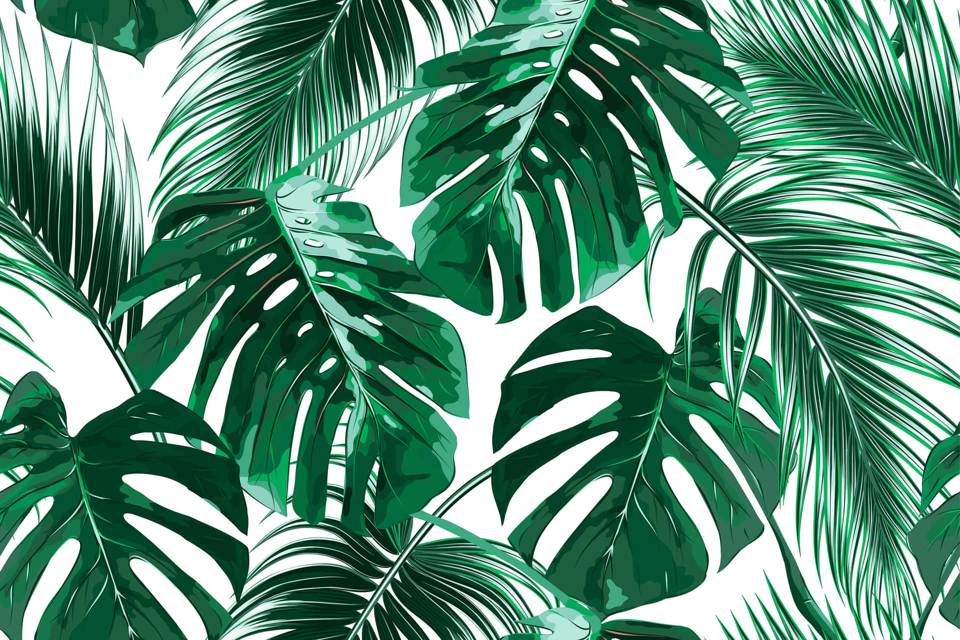 Cute Big Palm Tree Leaves Background