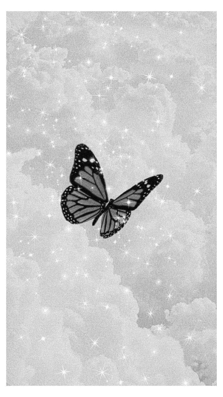 Cute Black And White Aesthetic Butterfly In Sparkly Sky Background