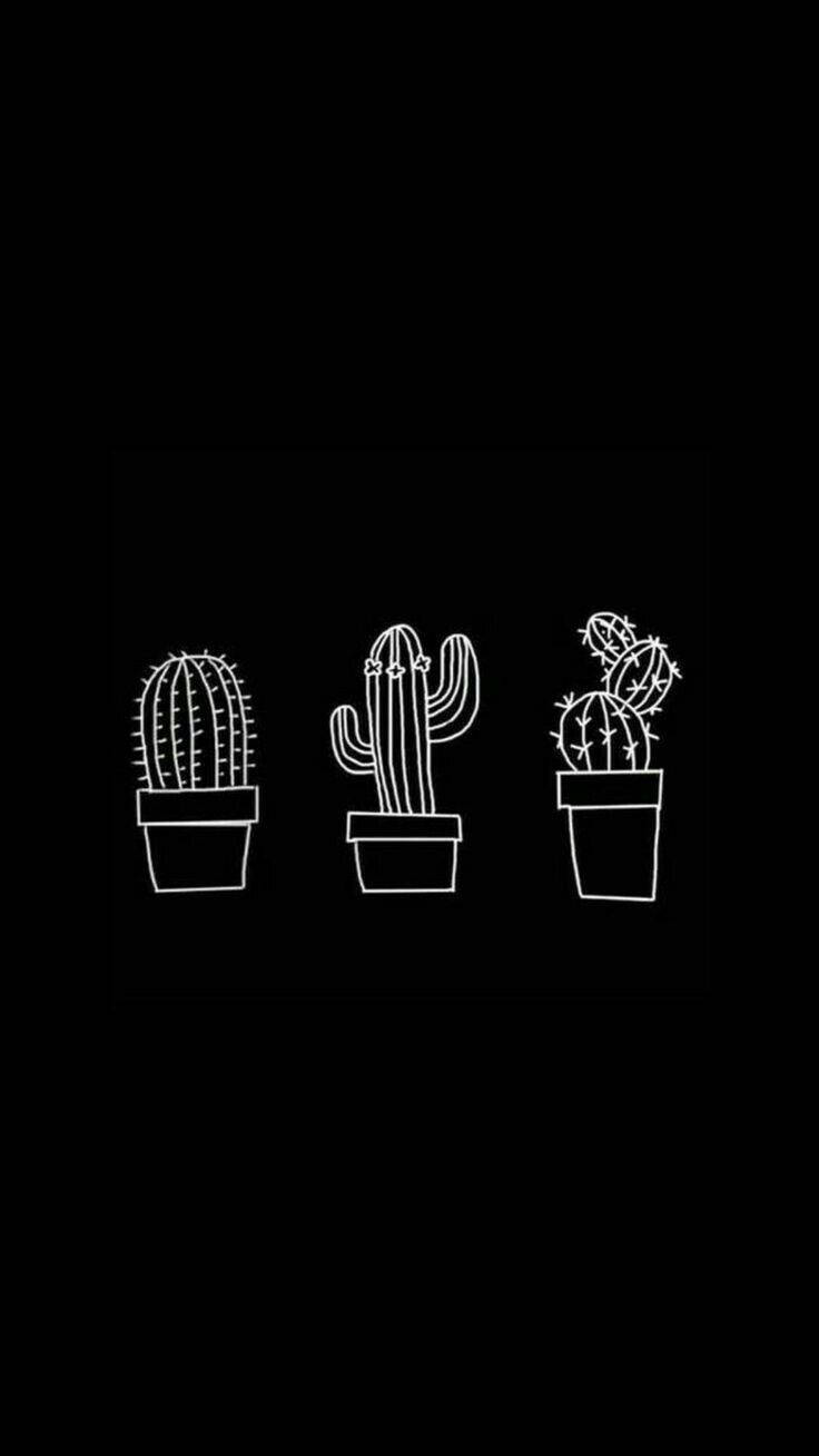 Cute Black Cactus Aesthetic Background