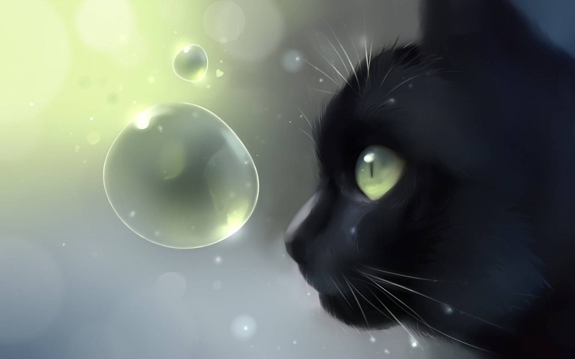 Cute Black Cat And Bubble Background