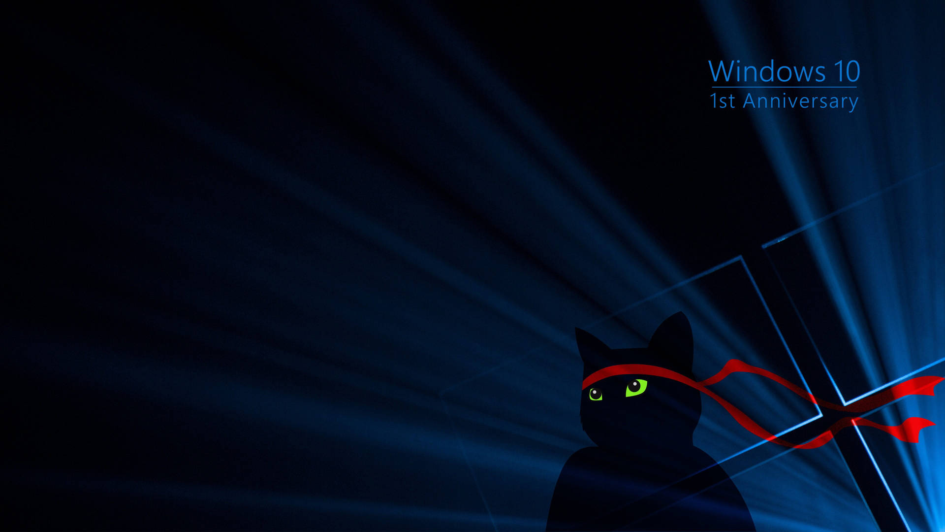 Cute Black Cat Cool 4k Background