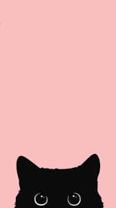 Cute Black Cat For Girls Background