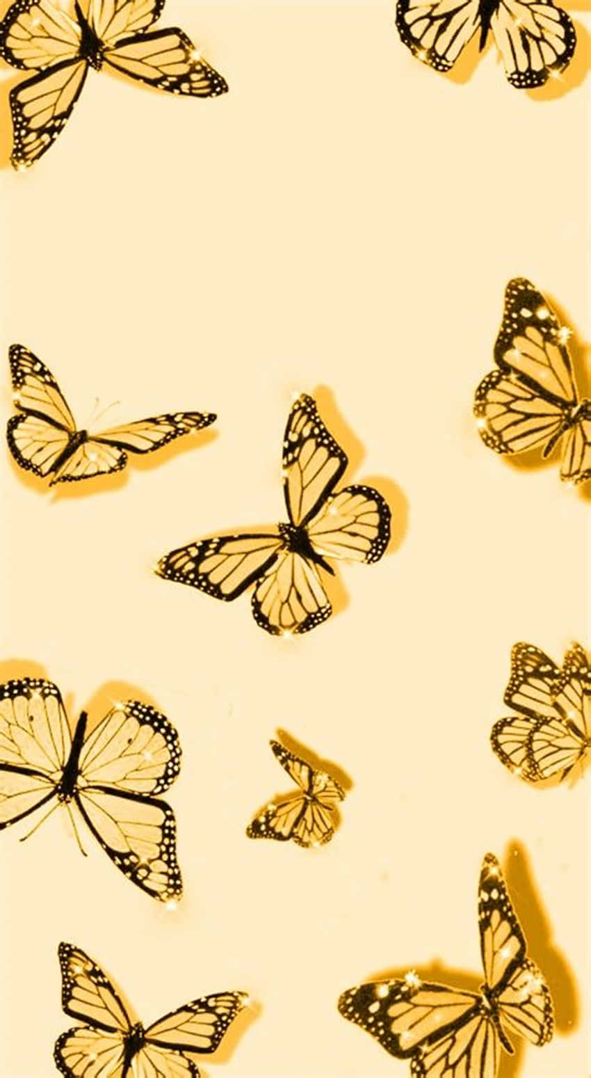 Cute Black Yellow Butterflies