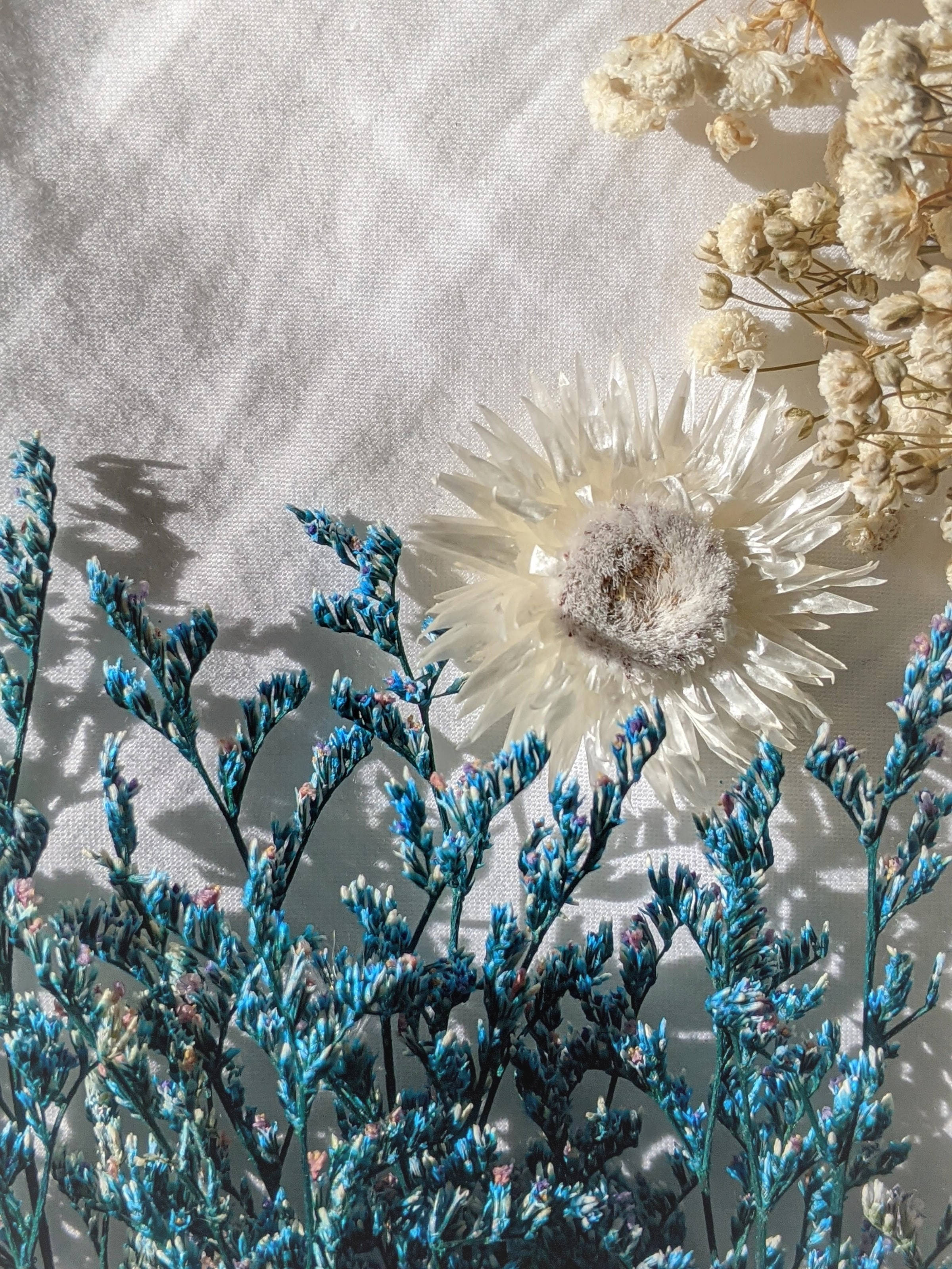 Cute Blue Aesthetic Dried Grass And Flowers Background