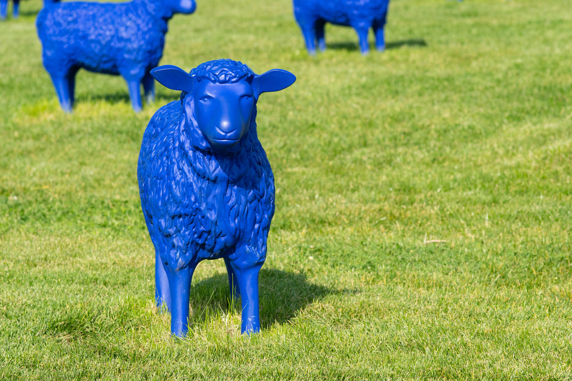 Cute Blue Sheep Statue Background