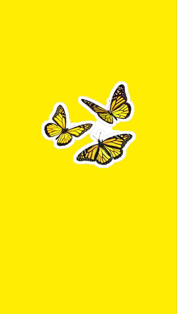 Cute Bright Yellow Butterflies