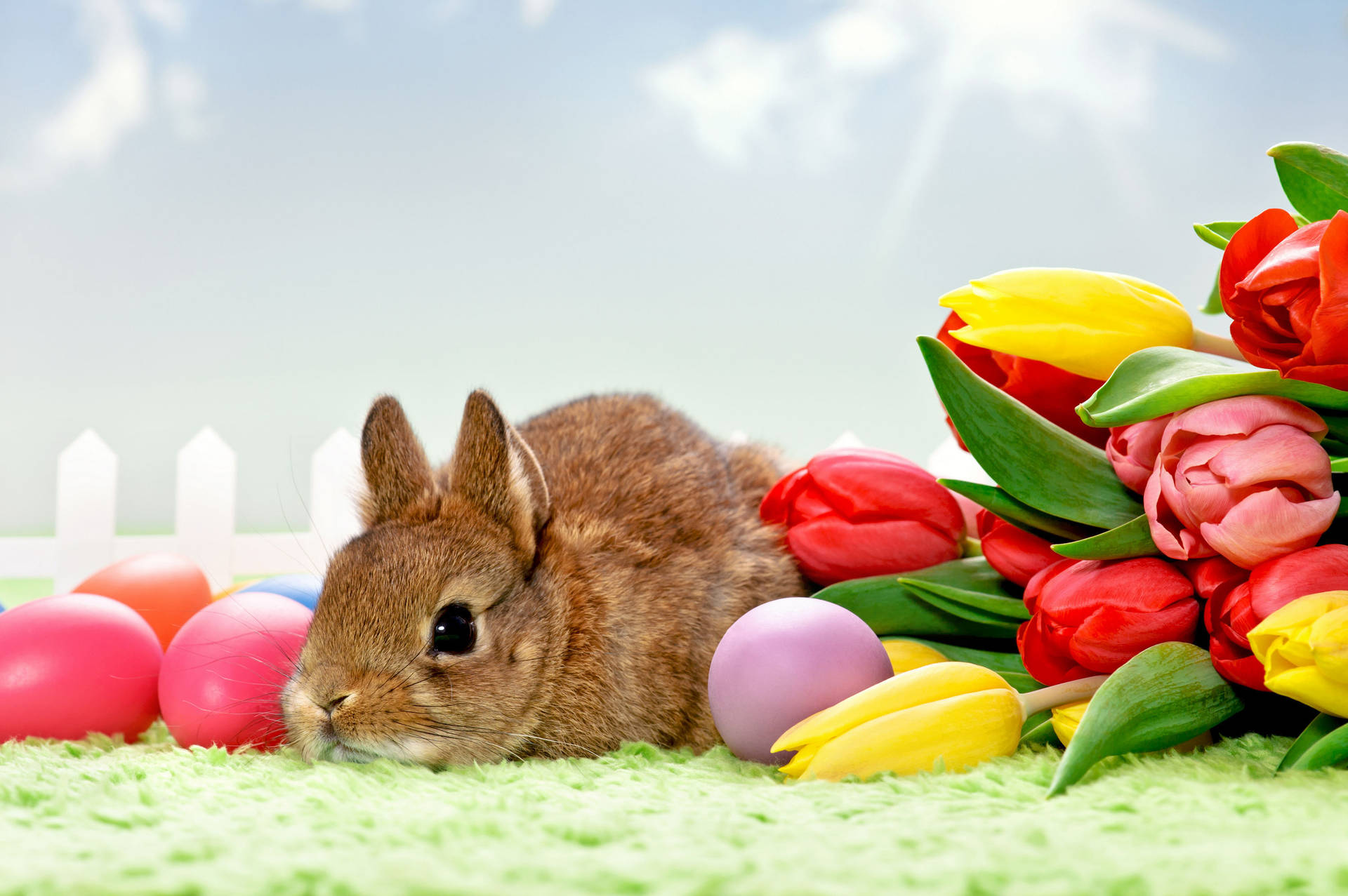 Cute Brown Easter Bunny Background