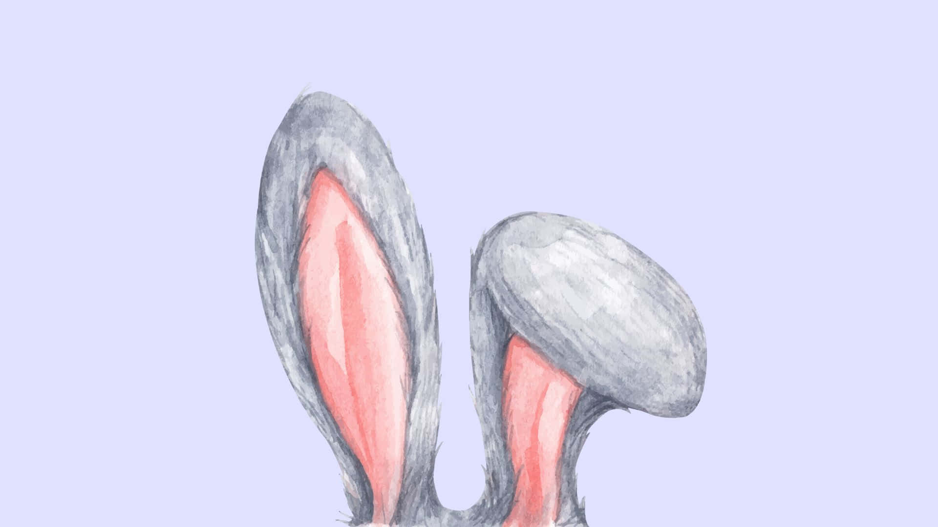 Cute Bunny Ears Illustration Background