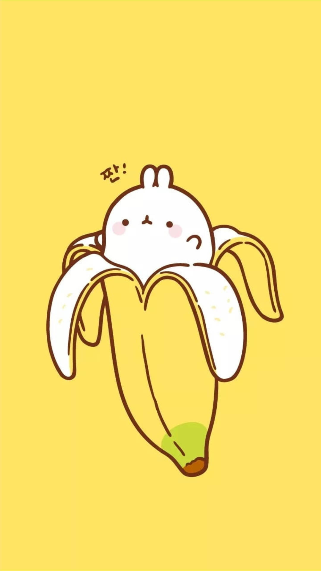 Cute Bunny Inside A Banana Background