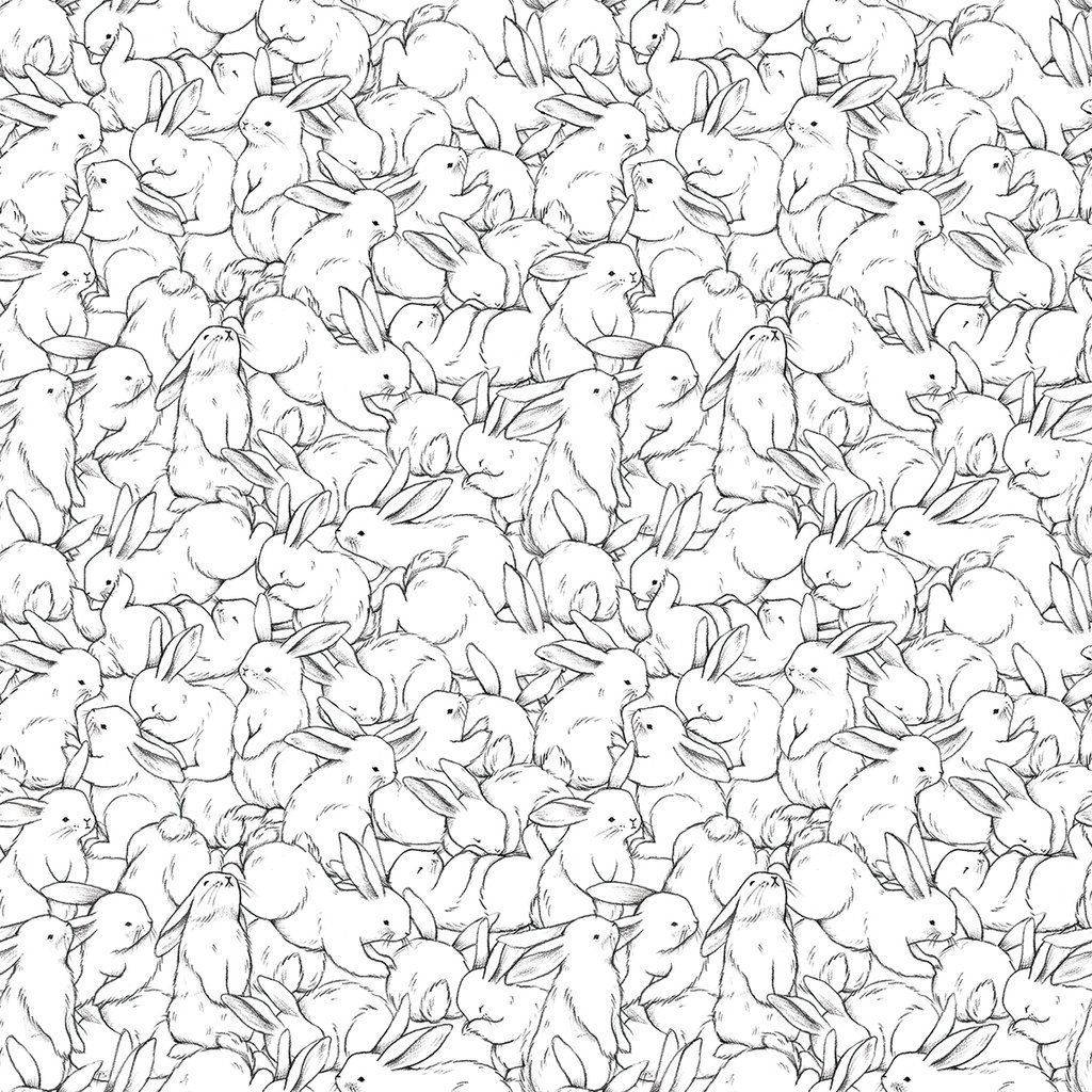 Cute Bunny Line Drawings Background