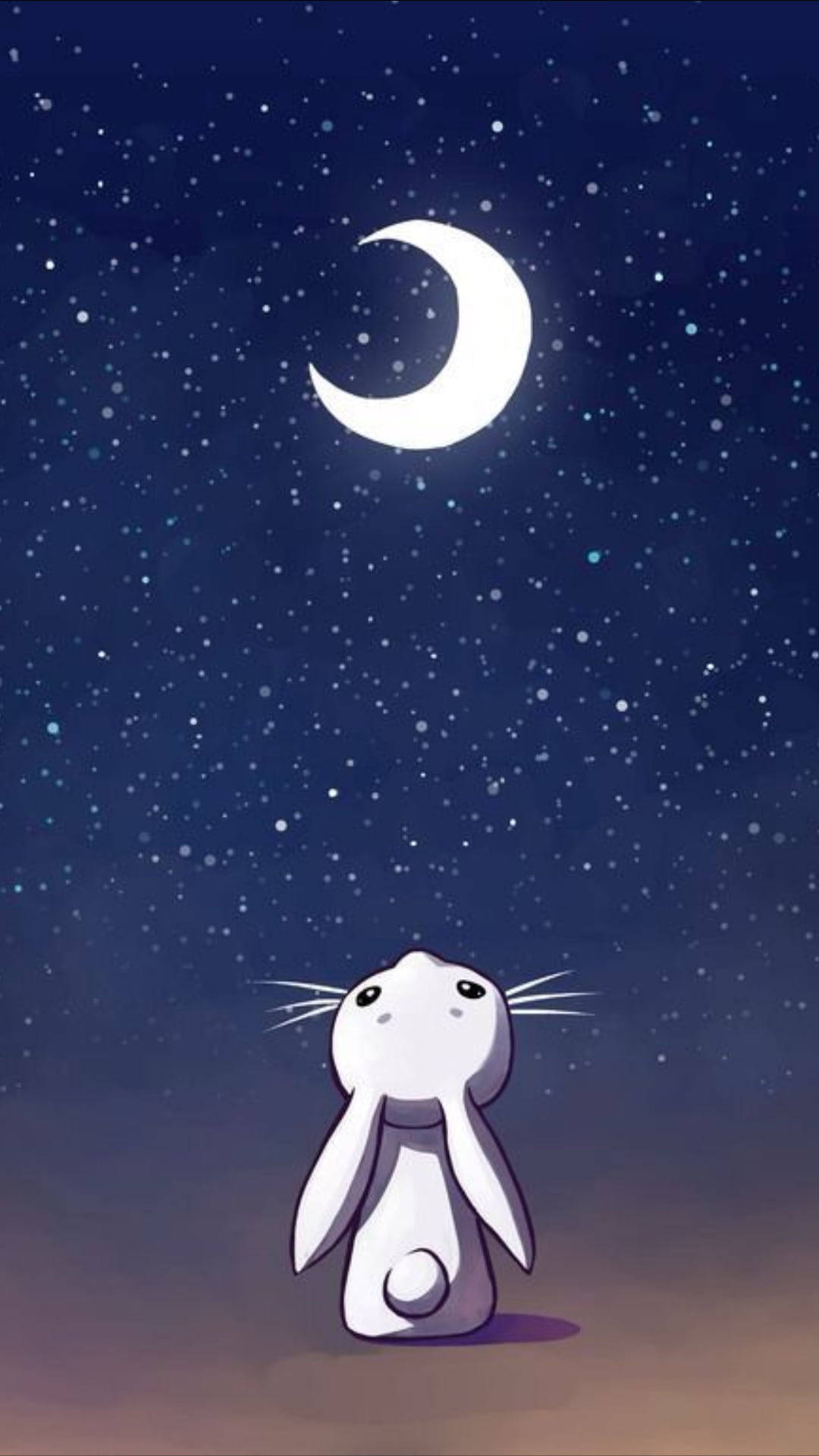 Cute Bunny Looking Up The Sky Background